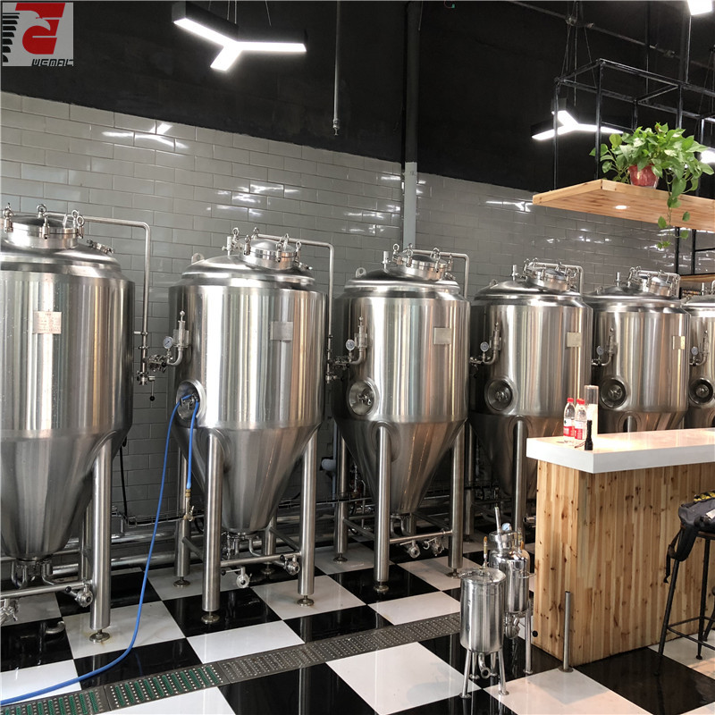 China 300l brewery equipment manufacturers 