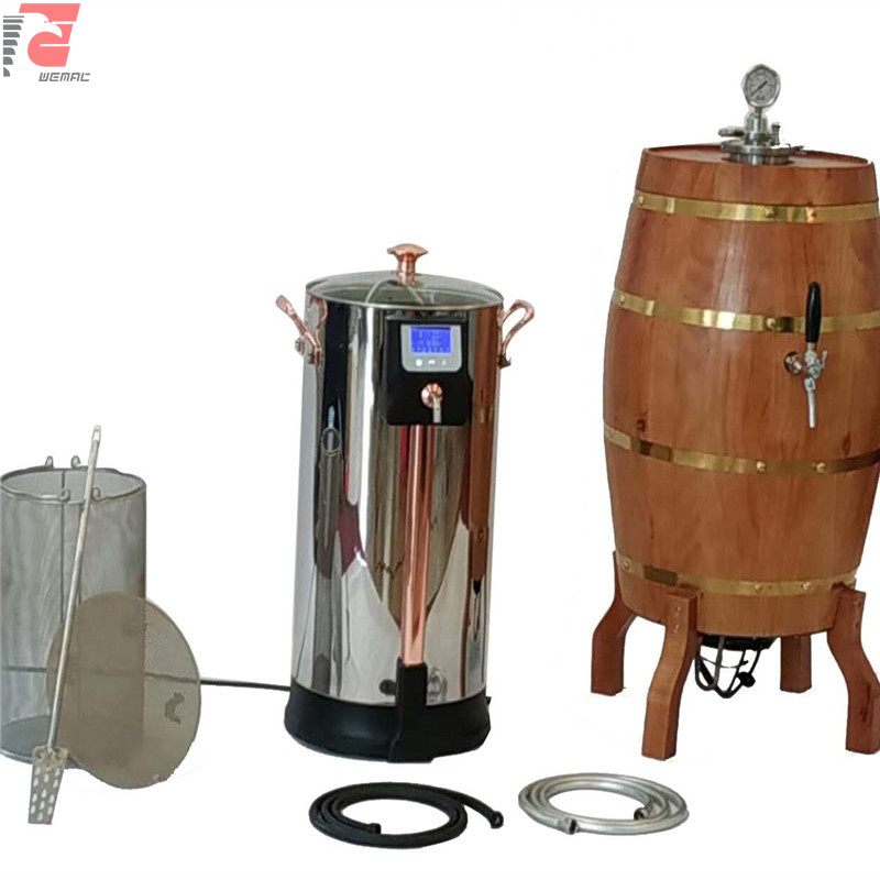 Mini beer brewery equipment and small nano brewing system for sale Chinese supplier