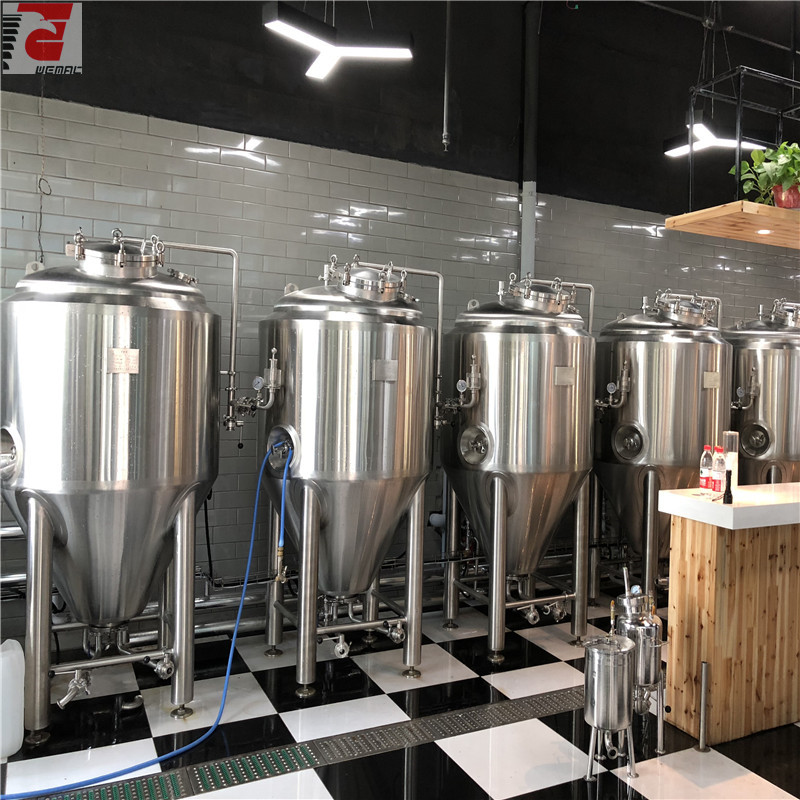 Stainless steel beer fermenter for sale WEMAC H007