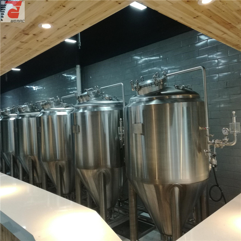 Pilot brewery equipment for sale WEMAC H009