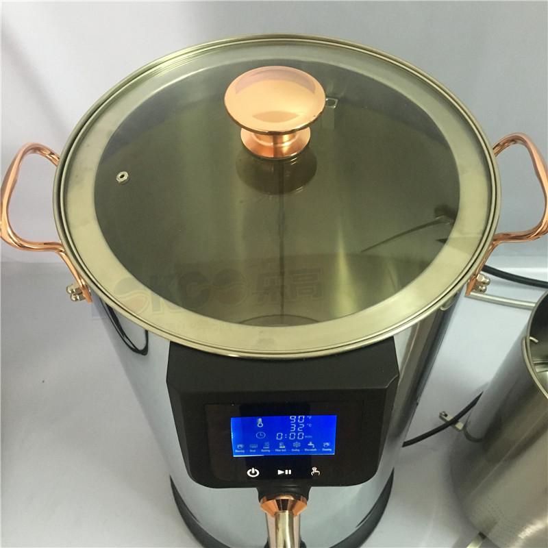 30L home brewing equipment for sale home beer brewing system WEMAC Y029
