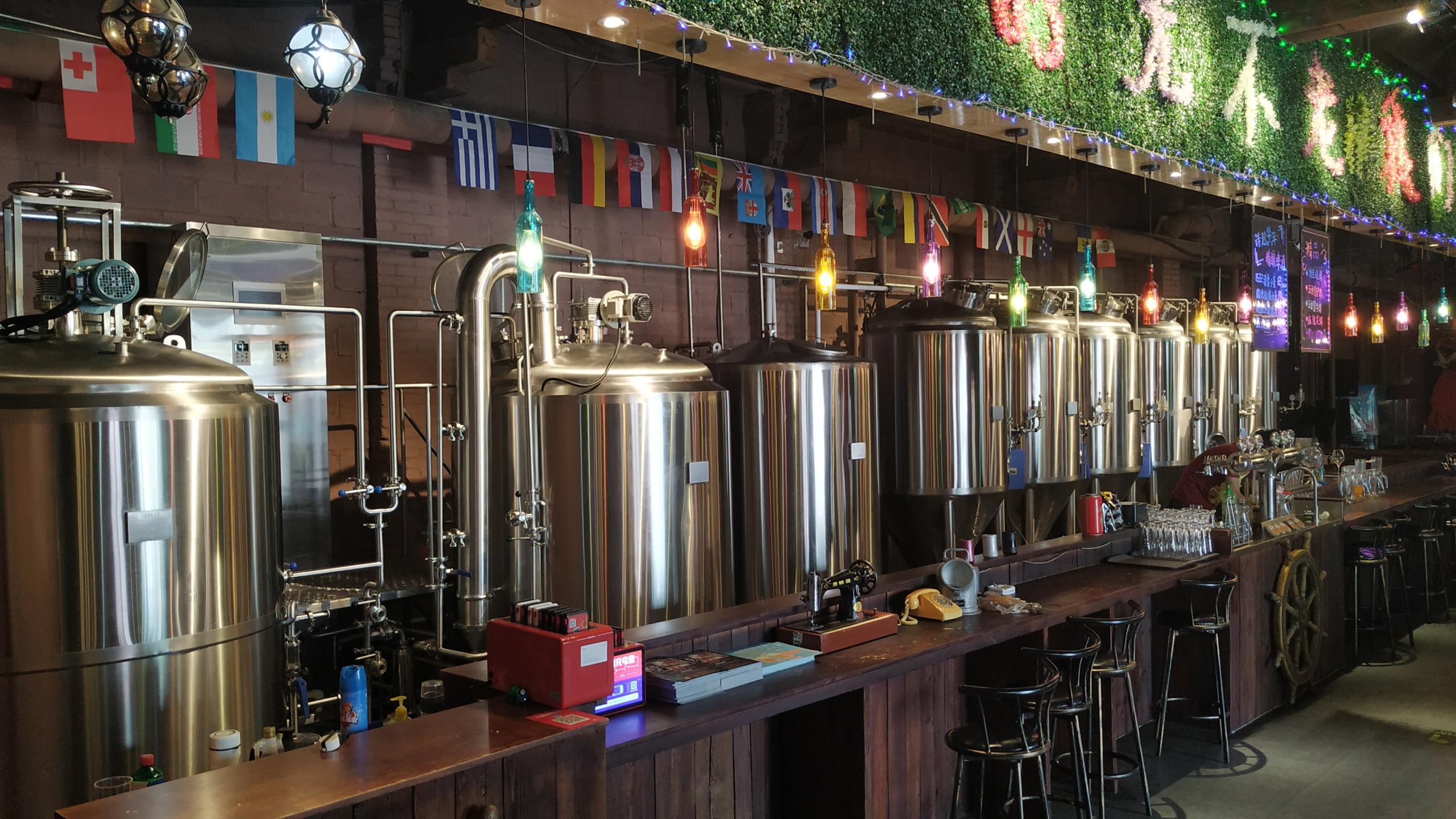 WEMAC 500L beer brewing system factory using in pub & restaurant