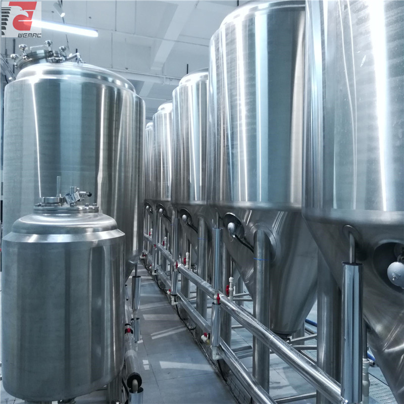 Professional beer brewing equipment Chinese manufacturer