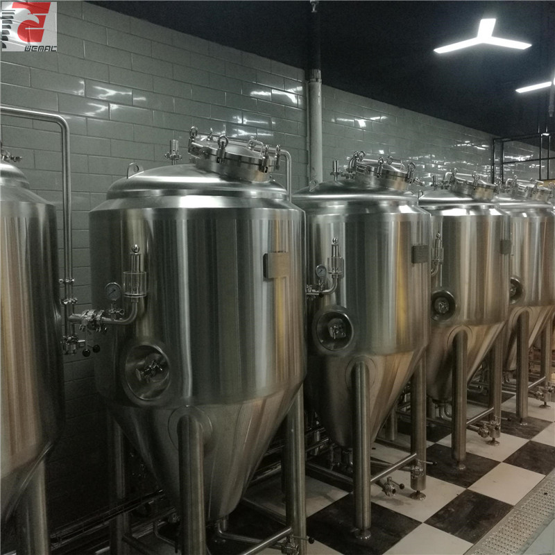 Professional beer brewing equipment Chinese manufacturer