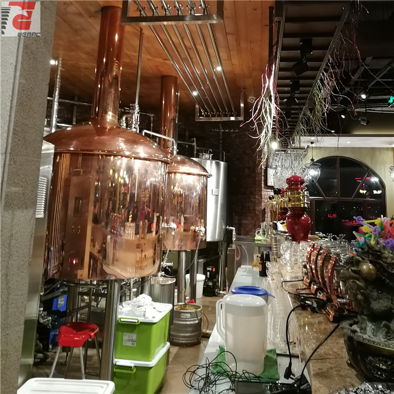 China WEMAC beer fermentation tank manufacturers fermentation equipment suppliers
