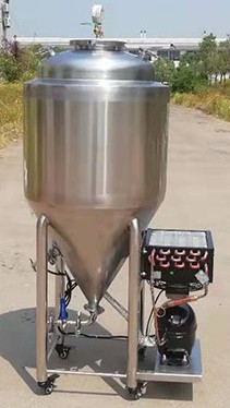 Romania 50L professional small beer brewing equipment of SUS304  factory 2020 W1