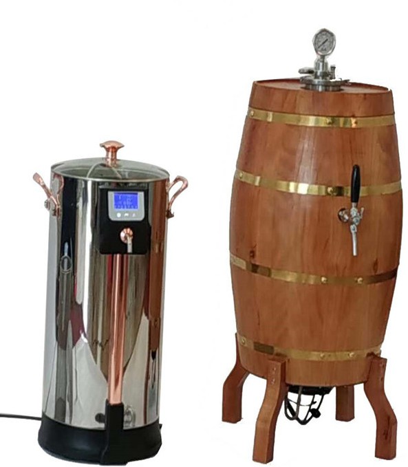 Peru professional home beer brewing equipment of SUS304 for beer enthusiasts from China manufacturer W1