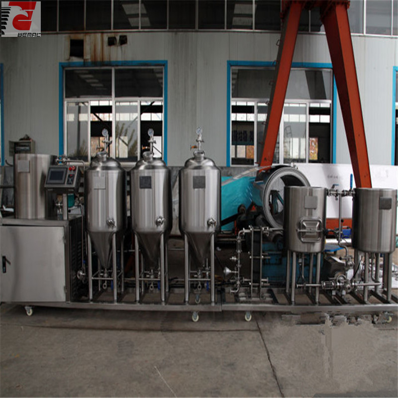 30L-50L professional easy to operate home brewed beer equipment of SUS304 316 from China w3