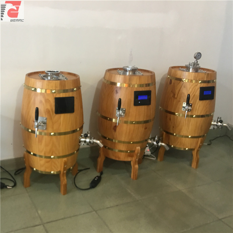 Beer brewing fermenter and brewery fermenters for sale Chinese factory