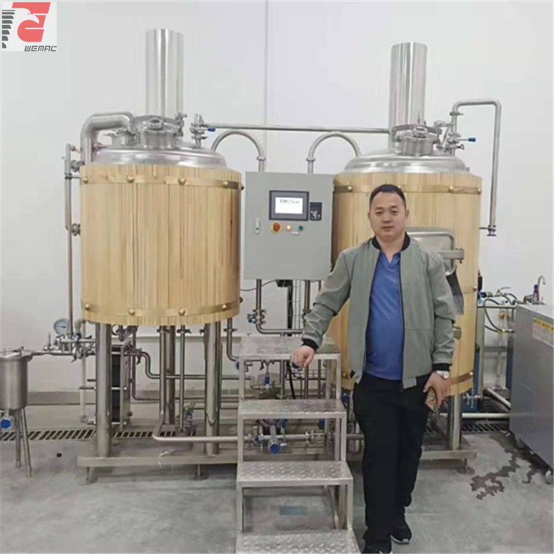 Mini brewery equipment for sale Chinese manufacturer 
