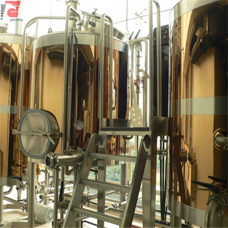 Micro brewery plant for sale mini brewery system manufacturer