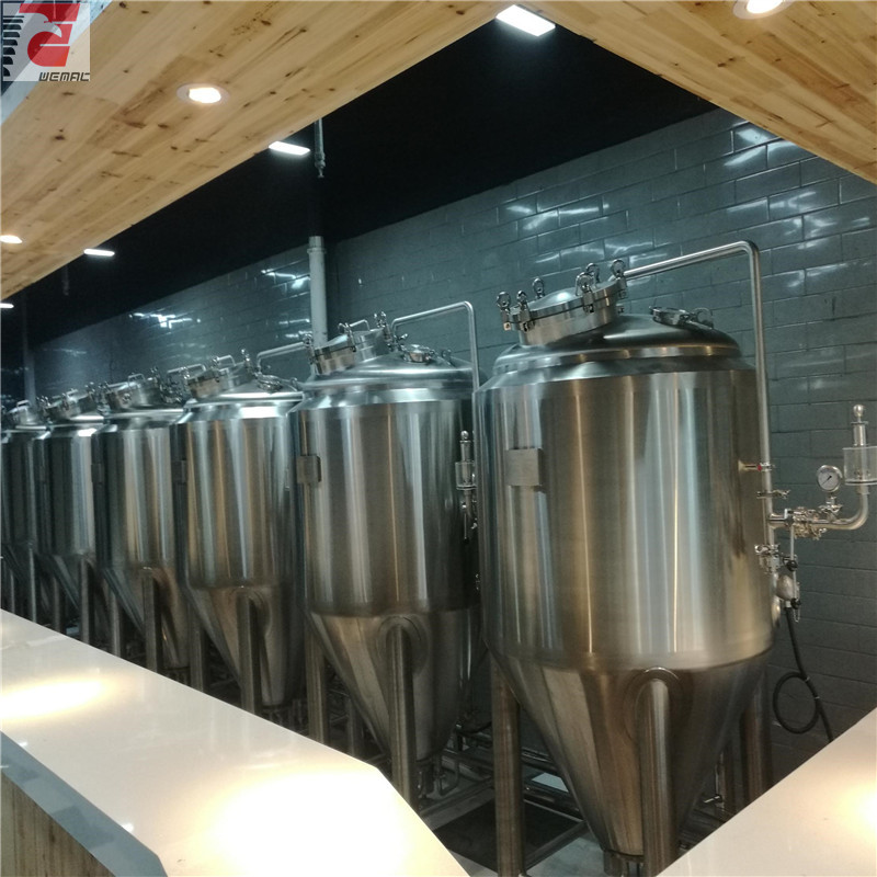 China pilot brewing system manufacturer
