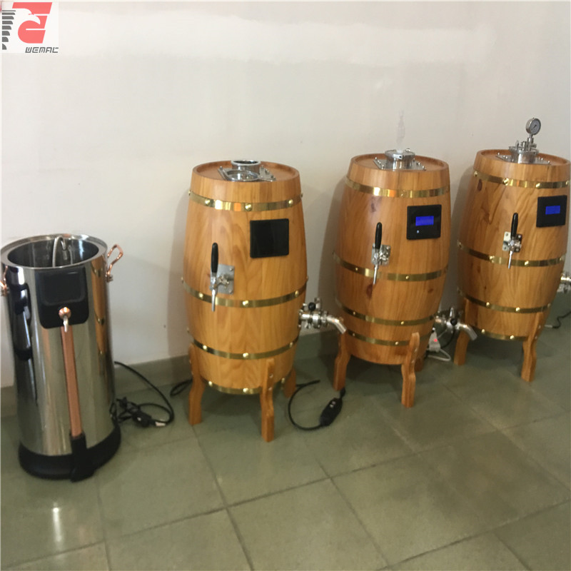 China 30l and 50l professional home microbrewery brewing equipment supplier