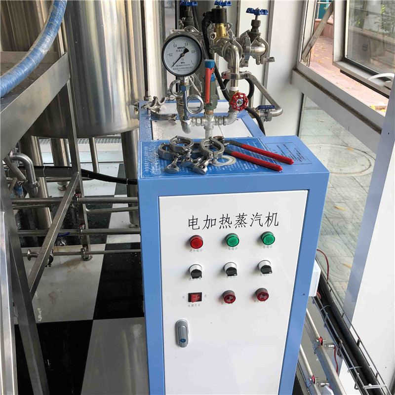 500L Turnkey brewery equipment  for sale china factory sale in France WEMAC G070