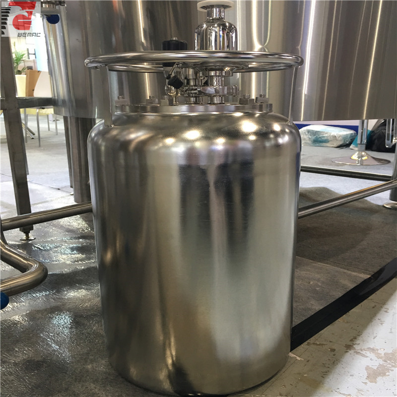 Stainless steel yeast breeding transfer carlsberg flask tank  ZXF