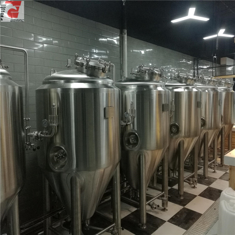 China commercial beer brewing equipment manufacturers WEMAC H029