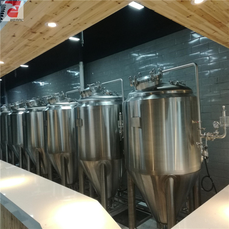 China craft beer brewing equipment for sale professional manufacturer WEMAC H025