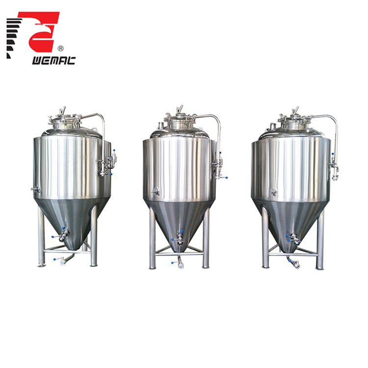 1bbl Fermenter Conical Beer Fermenter for turnkey Project hot sell in  Philippines