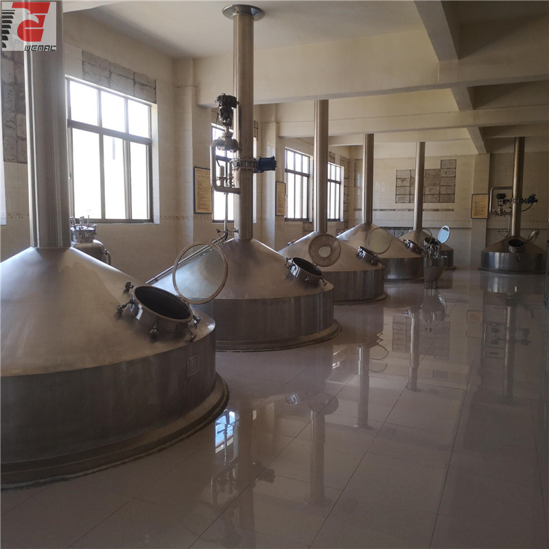 Industrial brewing equipment for sale low price and cost WEMAC H028