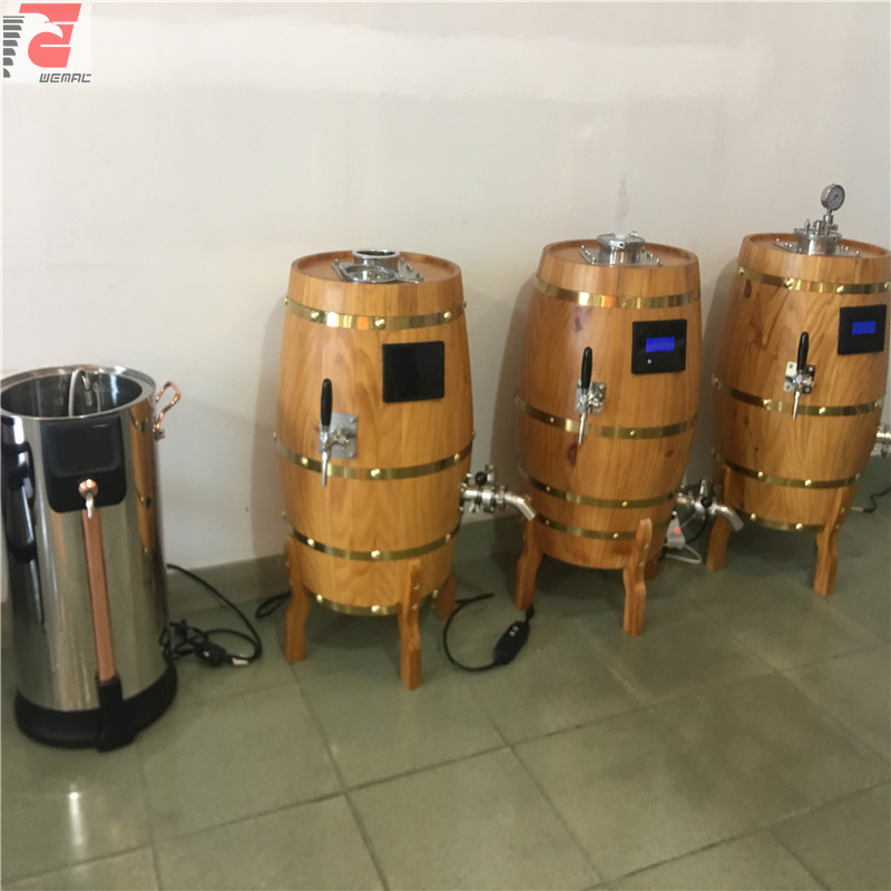 50L to 500L stainless steel microbrewery equipment manufacturers in China