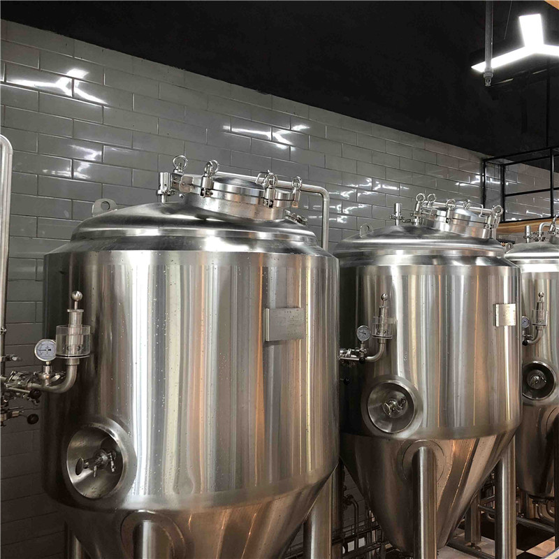 500L craft beer making equipment for sale china factory WEMAC G072