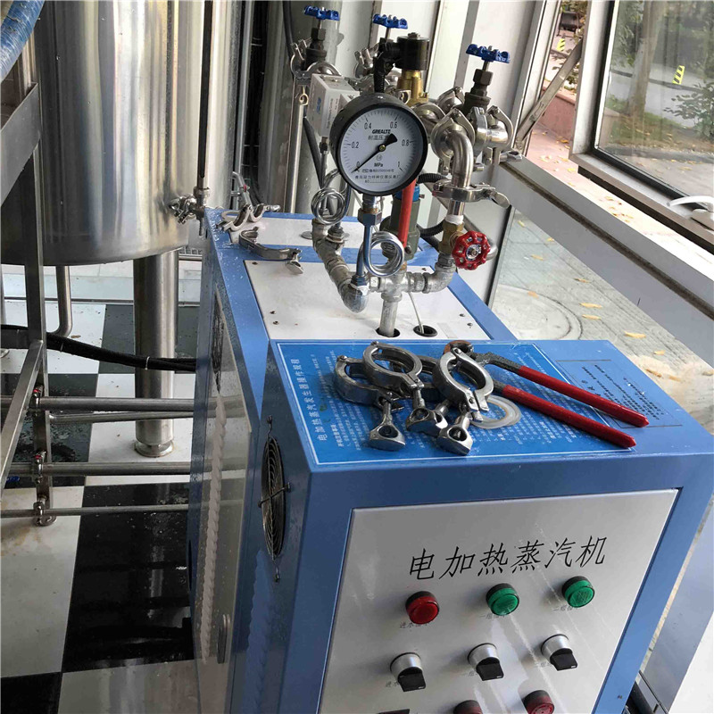 500L nano brewery equipment for sale china factory sale in Europ WEMAC G068